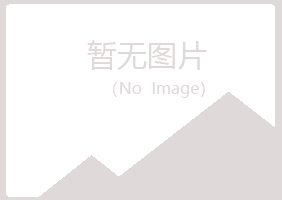 琼海字迹化学有限公司